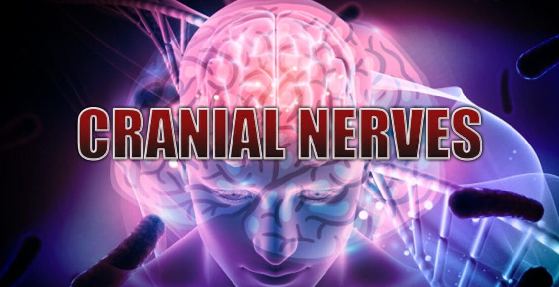 cranial el paso tx.