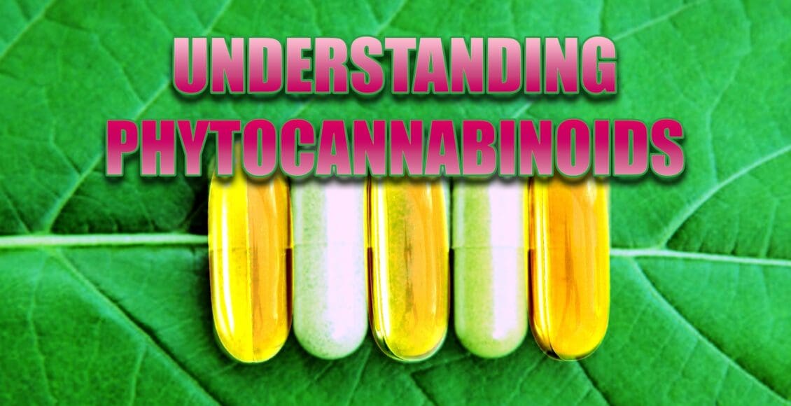 phytocannabinoids el paso tx.