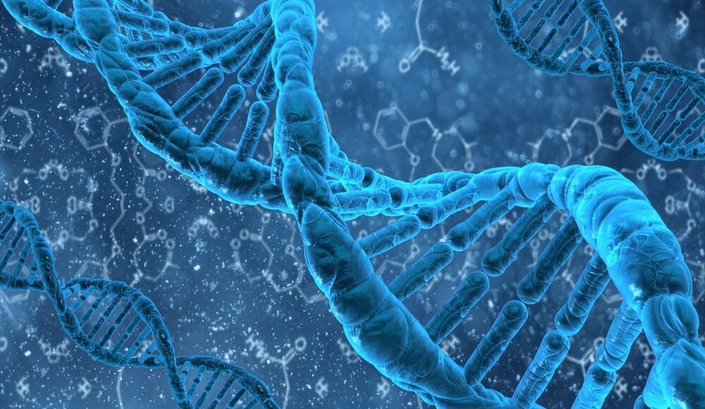 DNA Methylation Plasticity | El Paso, TX Chiropractor