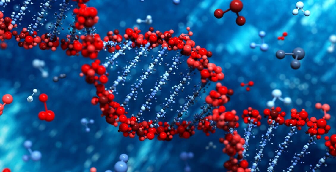 The Role of Methylation Adaptogens | El Paso, TX Chiropractor