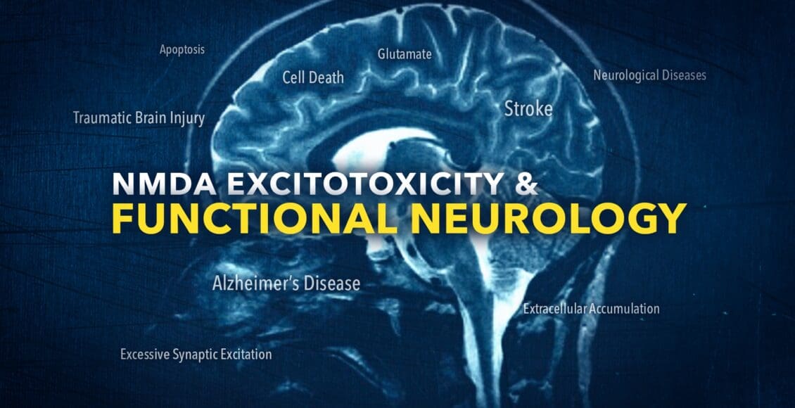 NMDA Excitotoxicity in Functional Neurology | El Paso, TX Chiropractor