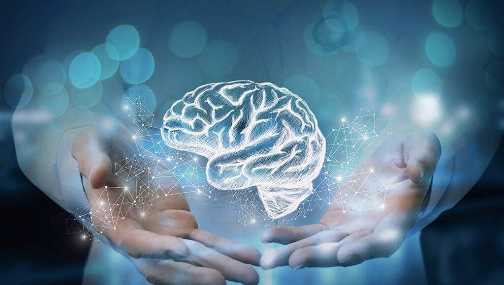 Functional Neurology: How to Naturally Improve Brain Fog | El Paso, TX Chiropractor
