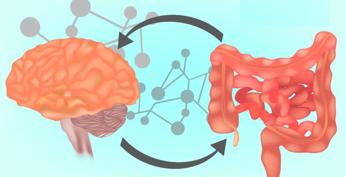 Functional Neurology: What is the Gut-Brain Axis? | El Paso, TX Chiropractor