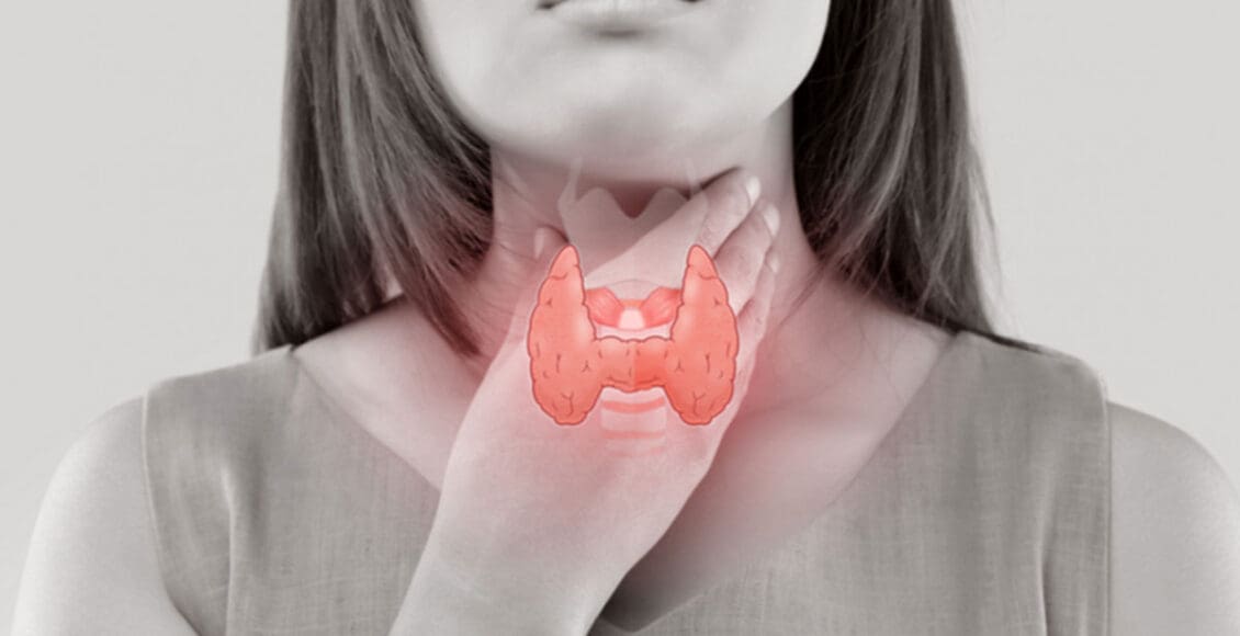 Functional Neurology: Obesity and Thyroid Dysfunction | El Paso, TX Chiropractor