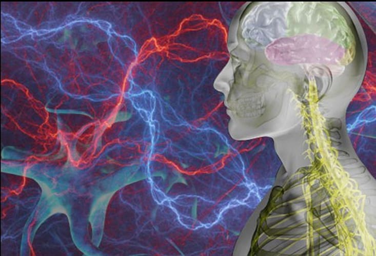 doctor of chiropractic near me el paso tx.
