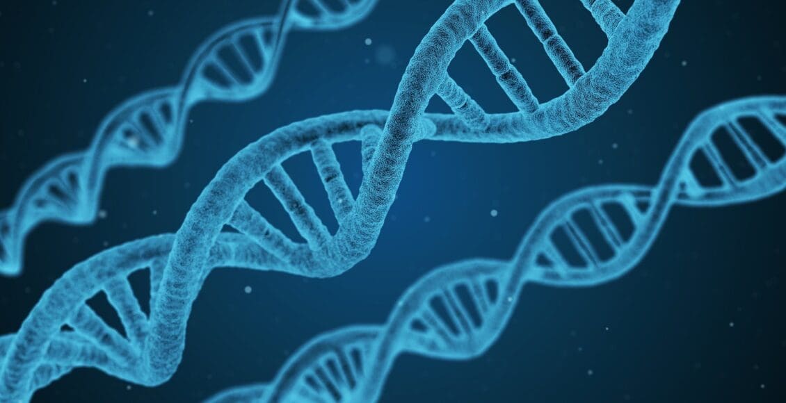 Biochemistry Of DNA Methylation | El Paso, TX Chiropractor