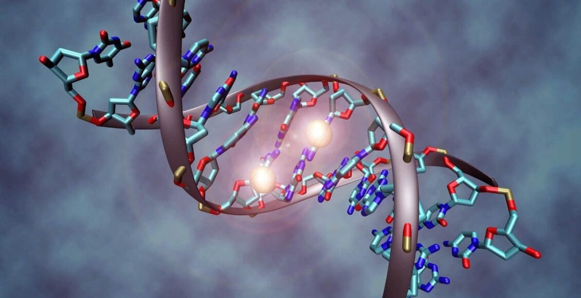 Methylation Support For Inflammation And Oxidative Stress | El Paso, TX Chiropractor