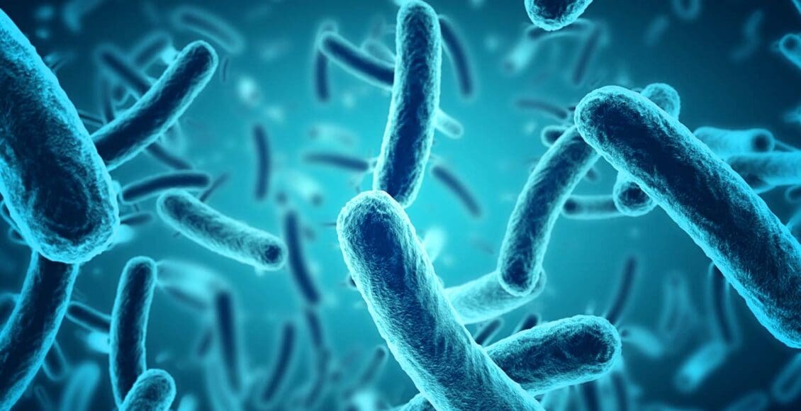 The Role Of The Microbiome In DNA Methylation | El Paso, TX Chiropractor