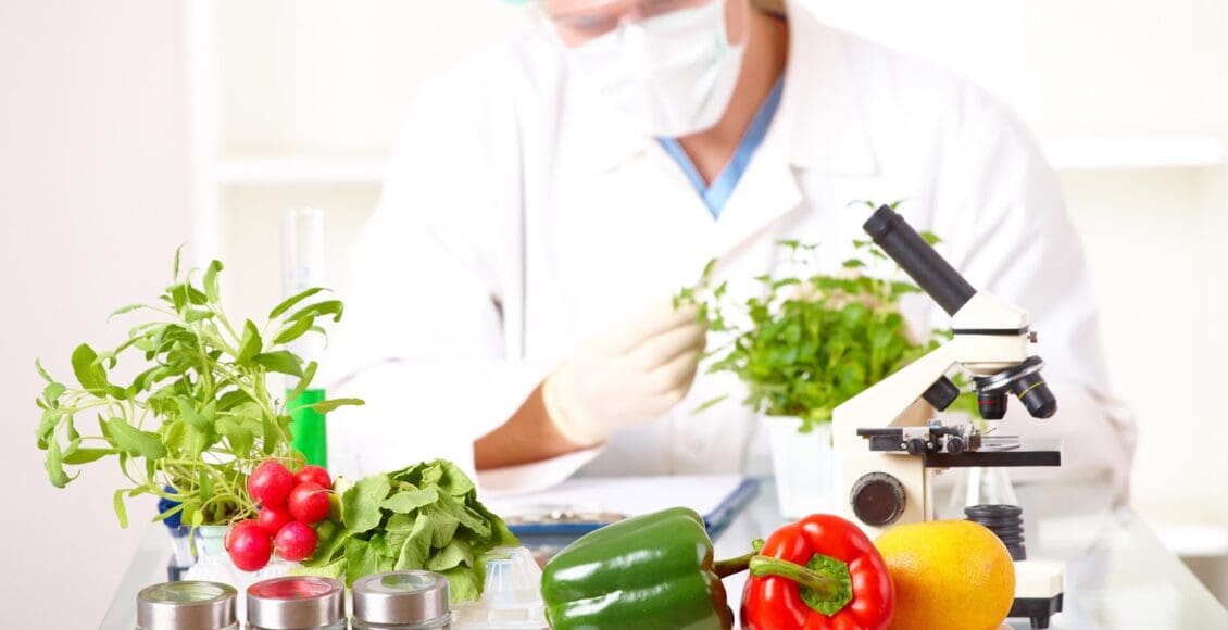 The Connection Between Nutrition & the Epigenome | El Paso, TX Chiropractor